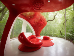 A_very_small_biophilic
